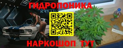 стафф Гай