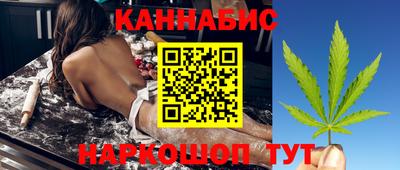 стафф Гай